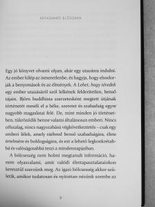 Björn Natthiko Lindeblad - Lehet, hogy tévedek [antikvár]