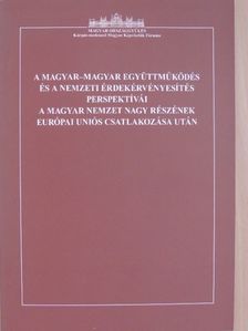 A magyar-magyar együttműködés és a nemzeti érdekérvényesítés perspektívái a Magyar Nemzet nagy részének Európai Uniós csatlakozása után [antikvár]