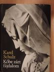 Karel Schulz - Kőbe zárt fájdalom [antikvár]