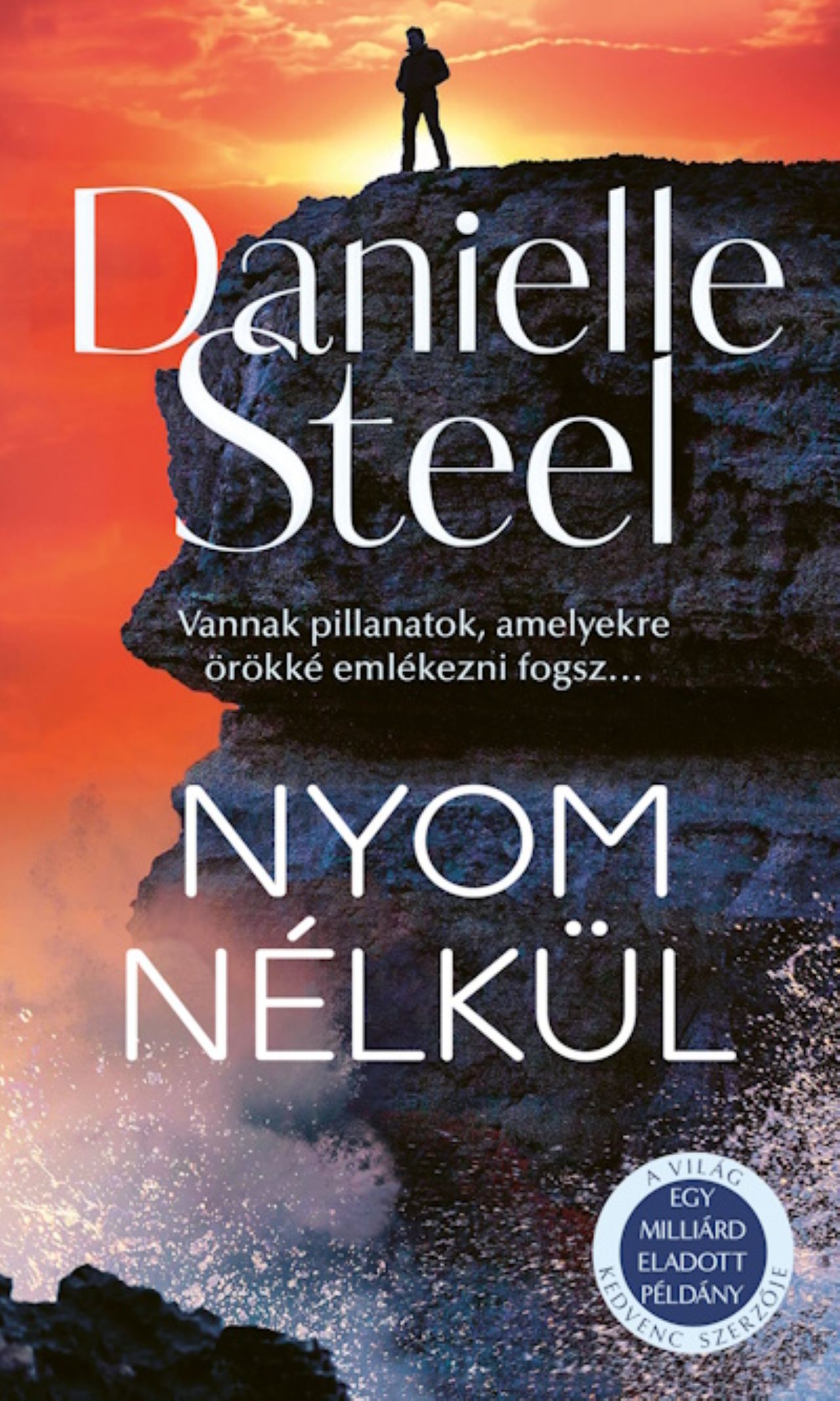 Danielle Steel - Nyom nélkül