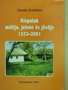 Tamás Erzsébet - Kispatak múltja, jelene és jövője 1332-2001 [antikvár]