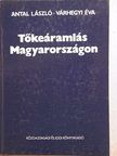 Antal László - Tőkeáramlás Magyarországon [antikvár]
