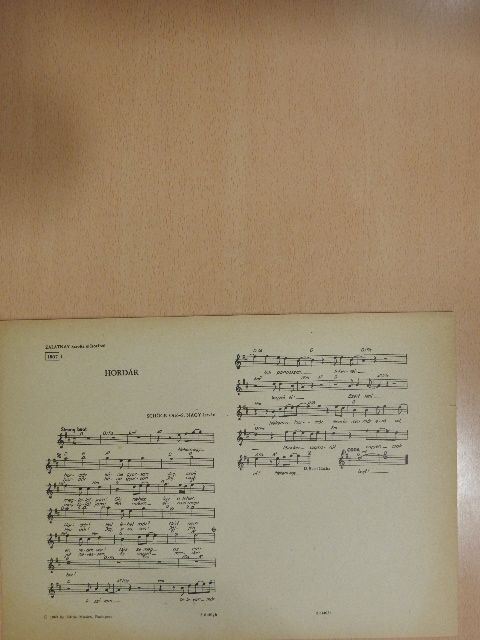 S. Nagy István - Hordár [antikvár]