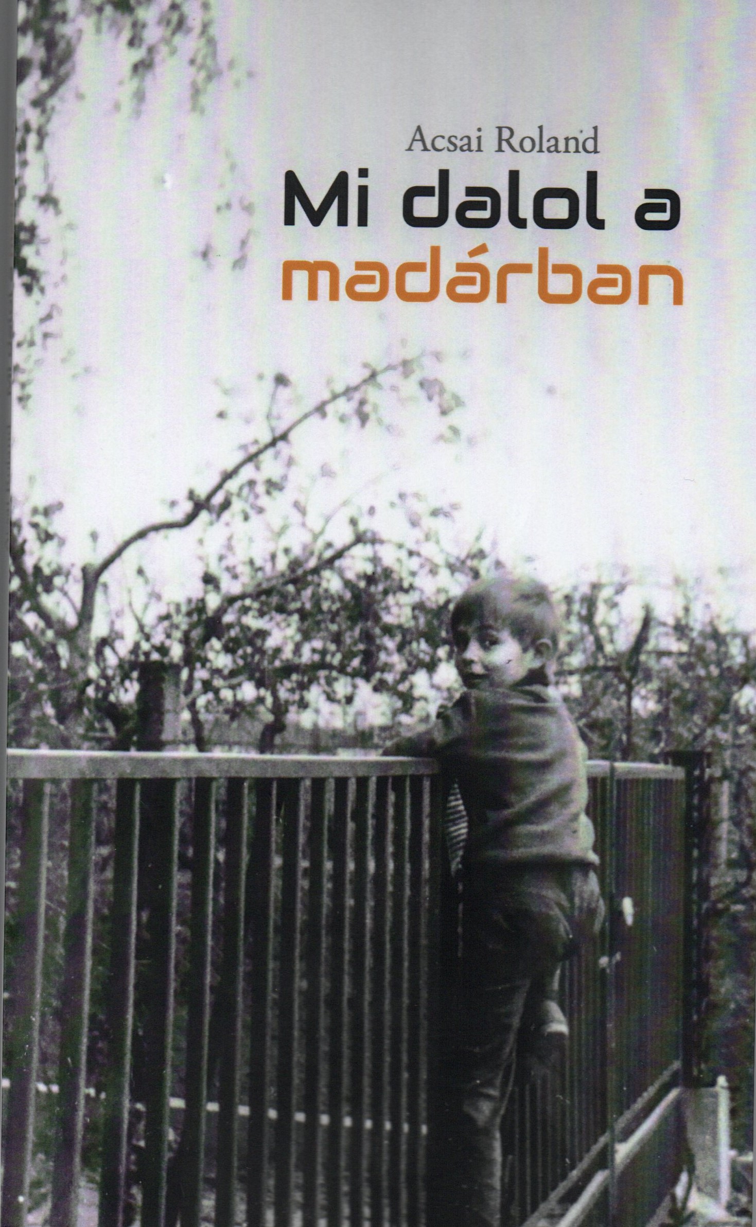 Acsai Roland - Mi dalol  a madárban