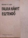 Molnár H. Lajos - Falra hányt esztendő [antikvár]