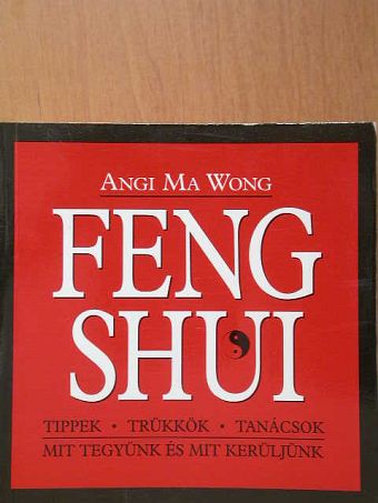 Angi Ma Wong - Feng shui [antikvár]