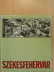 Császár László - Székesfehérvár [antikvár]