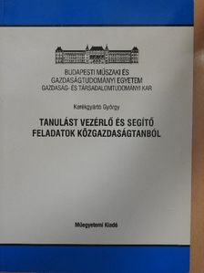 Kerékgyártó György - Tanulást vezérlő és segítő feladatok közgazdaságtanból [antikvár]
