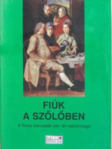 Megyesi Gusztáv - Fiúk a szőlőben [antikvár]