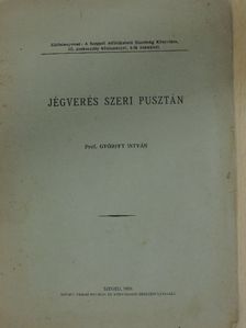 Prof. Győrffy István - Jégverés Szeri Pusztán [antikvár]