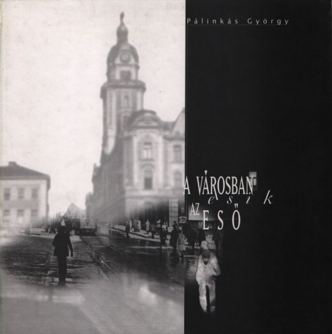 Pálinkás György - A városban esik az eső [antikvár]