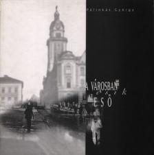 Pálinkás György - A városban esik az eső [antikvár]