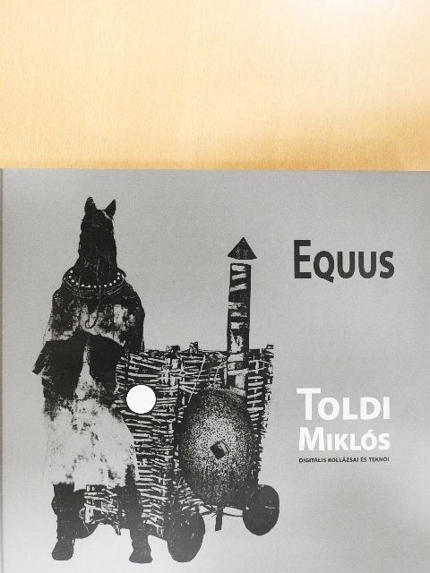 Feledy Balázs - Toldi Miklós [antikvár]