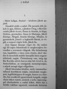 Berettyán Nándor - JHVH [antikvár]