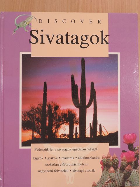 Jennifer Vogelgesang - Sivatagok [antikvár]
