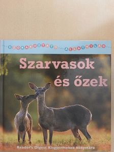 Christina Wilsdon - Szarvasok és őzek [antikvár]