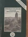 Denich Rudolf - Természetföldrajzi fogalmak értelmező szótára [antikvár]