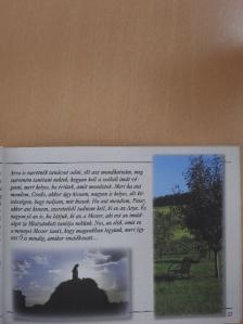Szárnyaid oltalmában [antikvár]