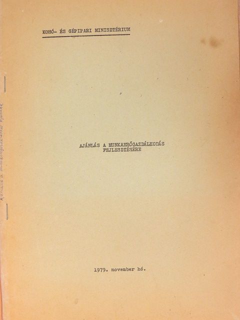 Ajánlás a munkaerőgazdálkodás fejlesztésére [antikvár]