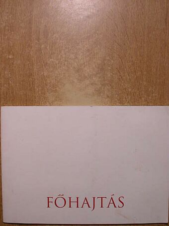 Főhajtás [antikvár]