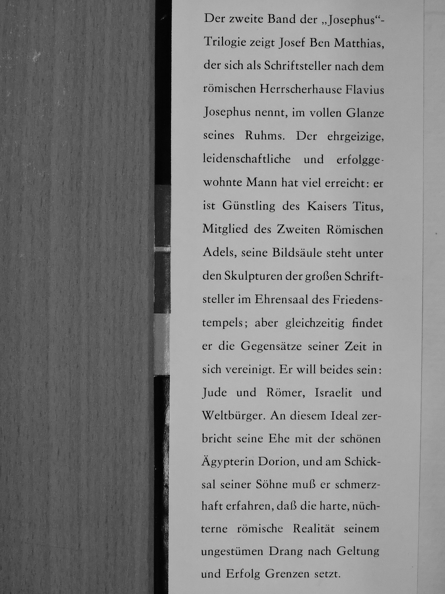 Lion Feuchtwanger - Die Söhne [antikvár]