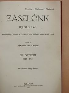 Anderlik Előd - Zászlónk 1914. szeptember-1915. június [antikvár]