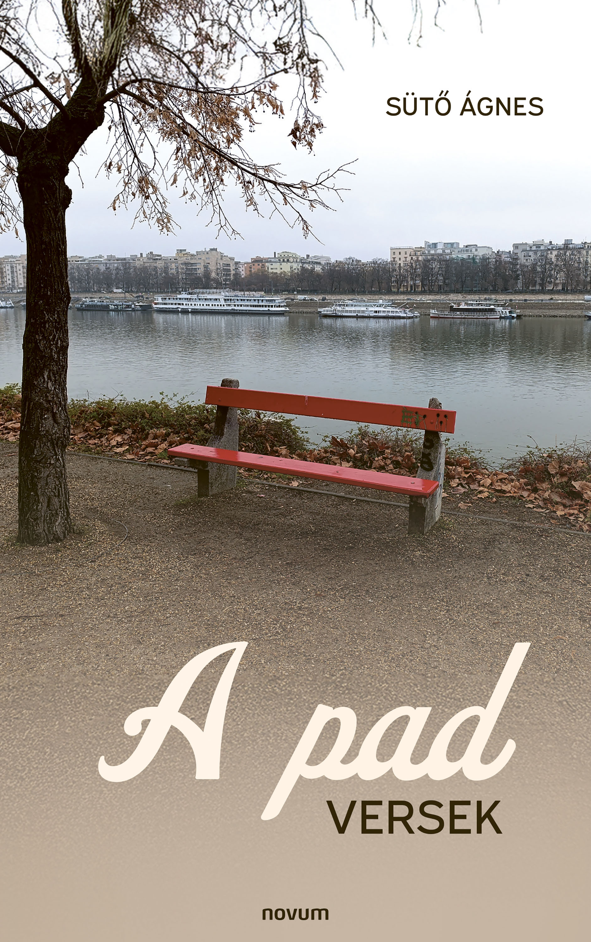 Sütő Ágnes - A pad [eKönyv: epub, mobi]