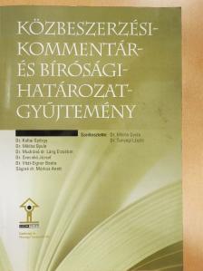 Dr. Koltai György - Közbeszerzési-kommentár- és bírósági-határozatgyűjtemény [antikvár]