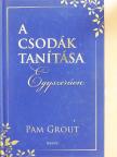 Pam Grout - A csodák tanítása - Egyszerűen [antikvár]