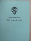 Vezetés kedvezőtlen látási viszonyok mellett [antikvár]