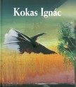 Rózsa Gyula - Kokas Ignác [eKönyv: epub, mobi]