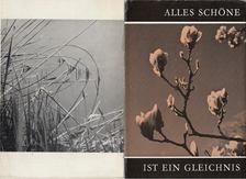 Gillen, Otto - Alles Schöne ist ein Gleichnis [antikvár]
