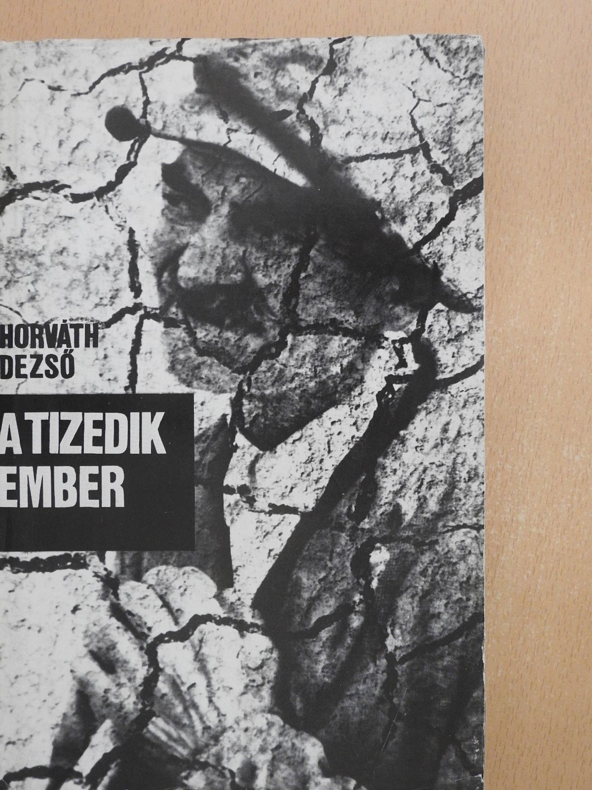 Horváth Dezső - A tizedik ember (dedikált példány) [antikvár]