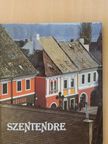 Stojan Vujicic - Szentendre [antikvár]
