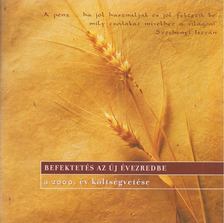 Befektetés az új évezredbe [antikvár]