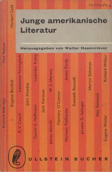 Junge amerikanische Literatur [antikvár]