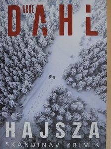Arne Dahl - Hajsza [antikvár]