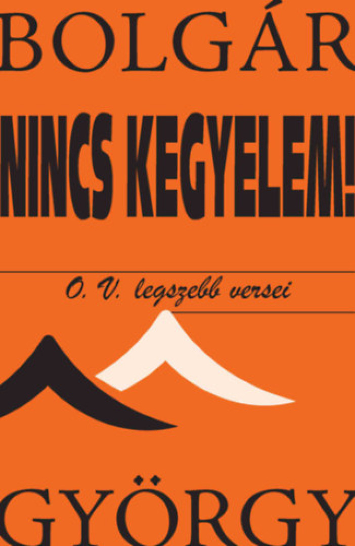 BOLGÁR GYÖRGY - Nincs kegyelem! [antikvár]