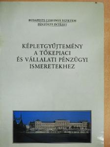 Képletgyűjtemény a tőkepiaci és vállalati pénzügyi ismeretekhez [antikvár]