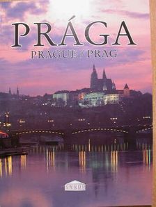 Bedrich Tyka - Prága [antikvár]