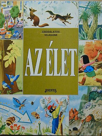 Ballér Judit - Az élet [antikvár]