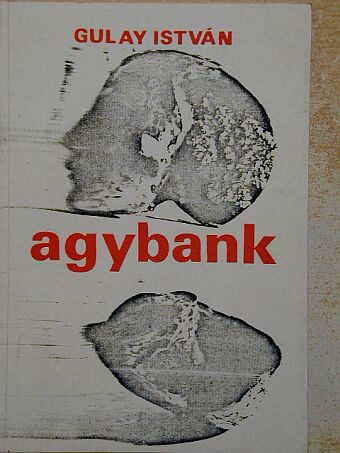 Gulay István - Agybank [antikvár]