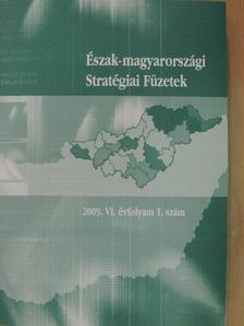 Dabasi Halász Zsuzsanna - Észak-magyarországi Stratégiai Füzetek 2009/1. [antikvár]
