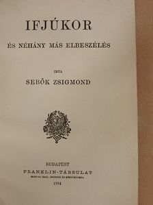 Sebők Zsigmond - Ifjúkor [antikvár]