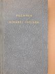 Wilhelm Filchner - Kínából Indiába [antikvár]