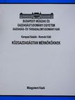 Kerepesi Katalin - Közgazdaságtan mérnököknek [antikvár]