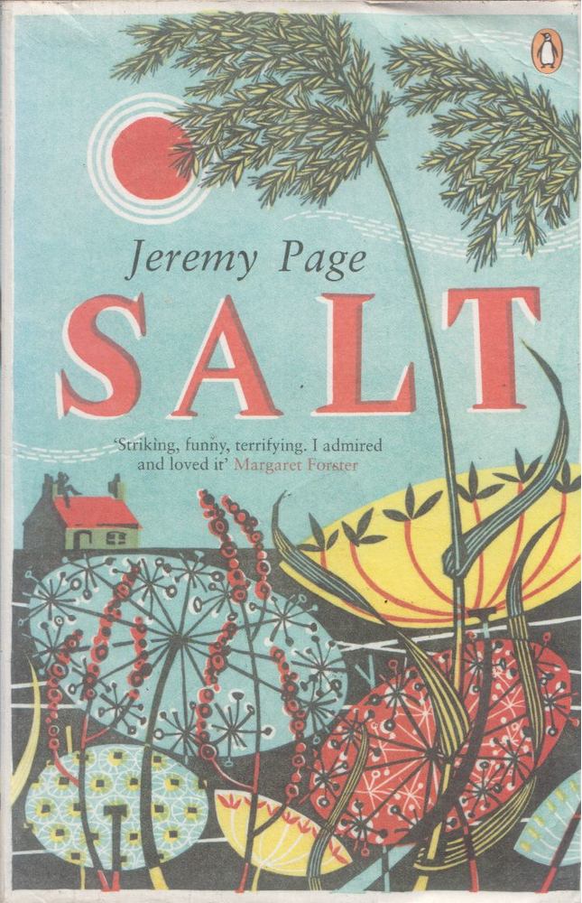 Jeremy Page - Salt [antikvár]