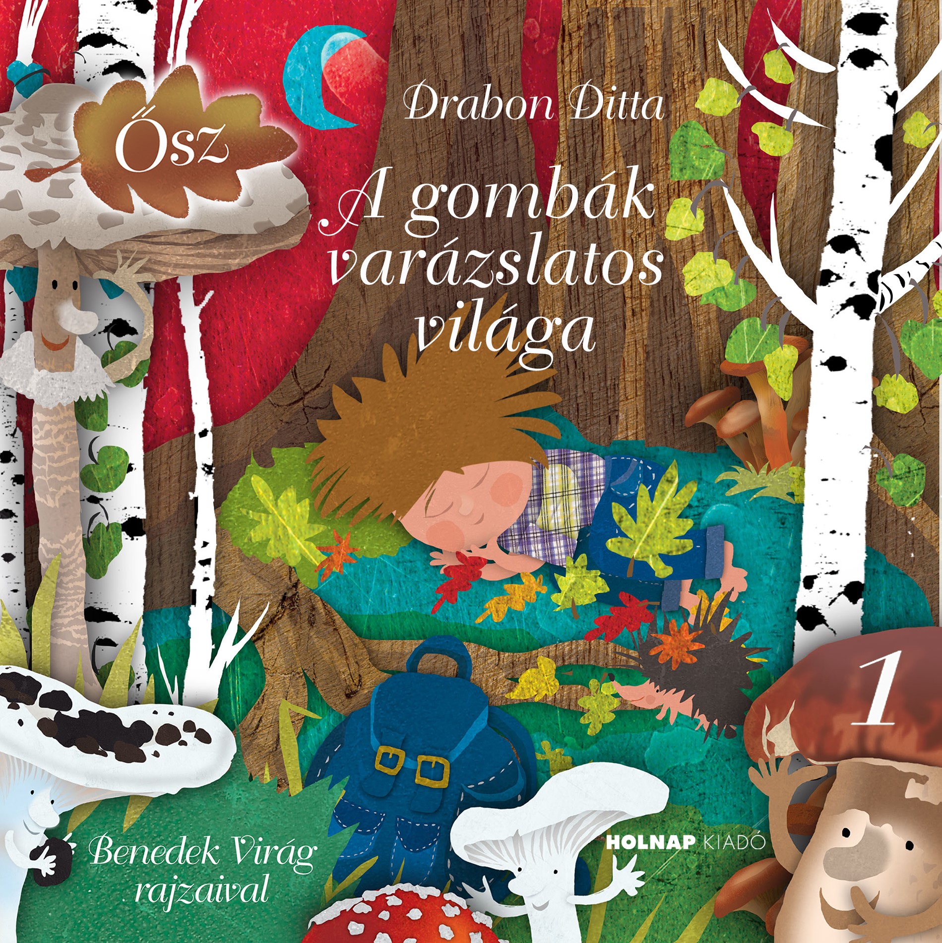 Drabon Ditta - A gombák varázslatos világa