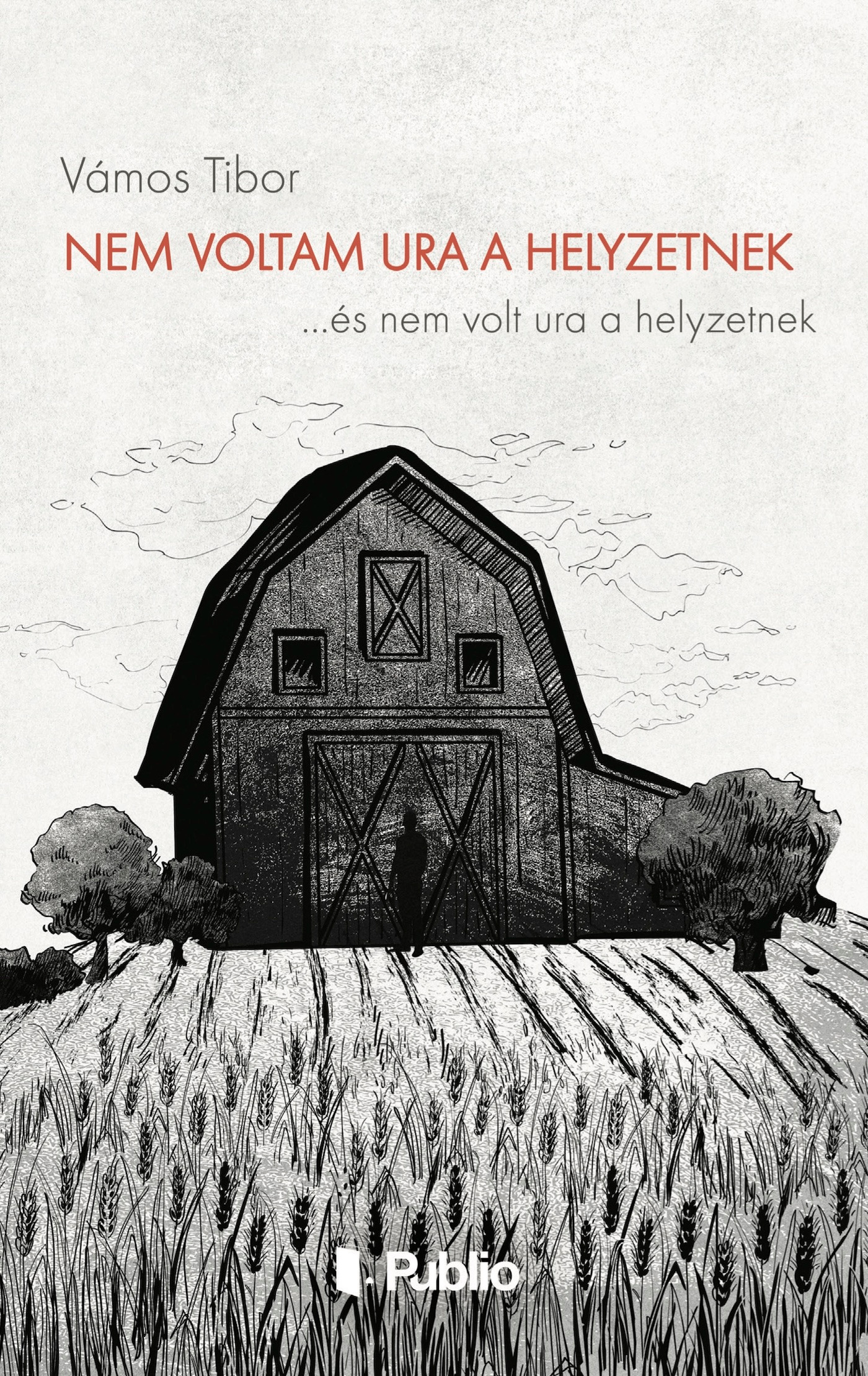 VÁMOS TIBOR - Nem voltam ura a helyzetnek [eKönyv: epub, mobi]
