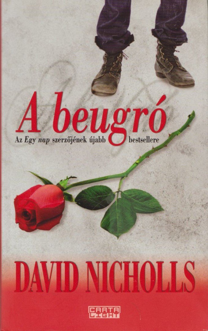 David Nicholls - A beugró [antikvár]